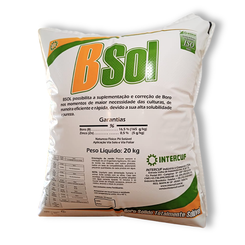 Bsol 01