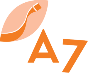 Linha A7