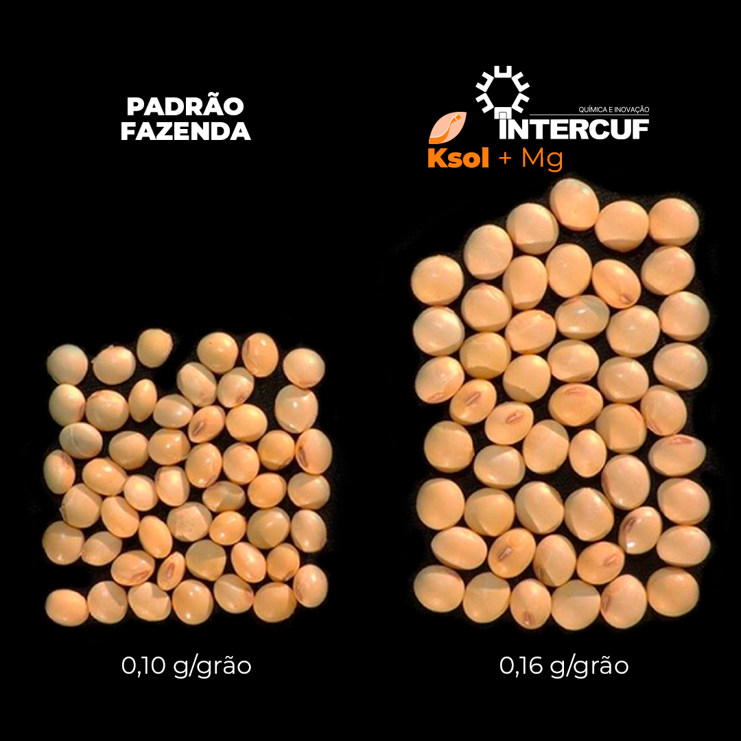 Resultados Reais e Satisfação Garantida