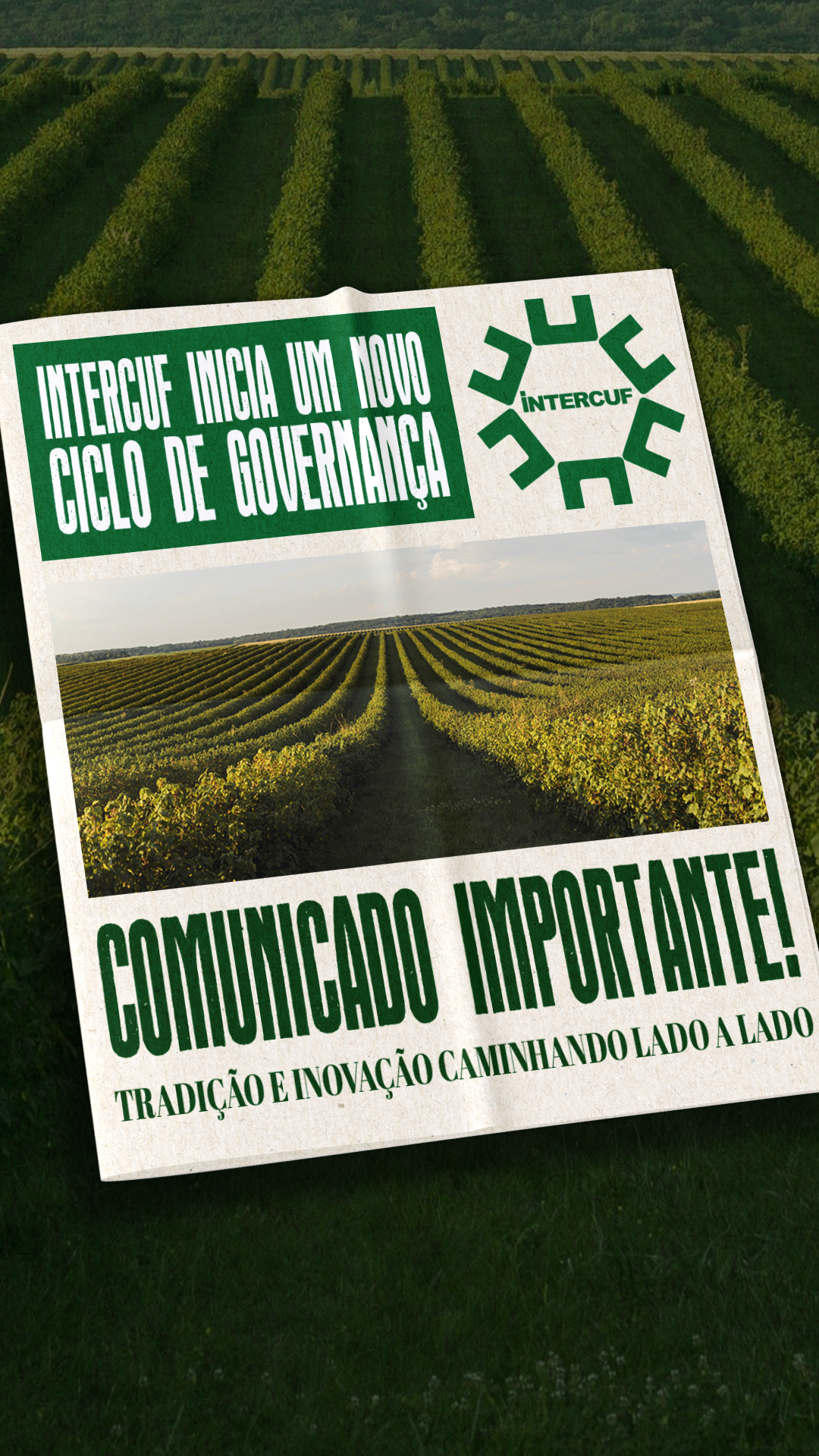 INTERCUF inicia novo ciclo de governança com sucessão planejada e fortalecimento de sua diretoria executiva