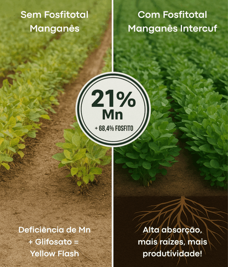Fosfitotal de Manganês Intercuf: Alta Performance para a Cultura da Soja e Muito Além!