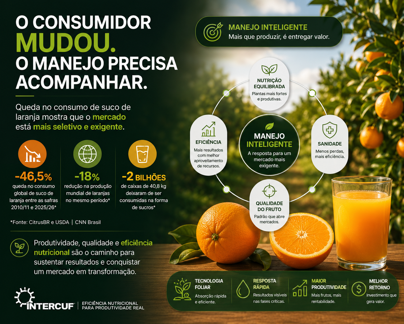 O consumidor mudou: o que a queda no consumo de suco de laranja ensina para a citricultura brasileira