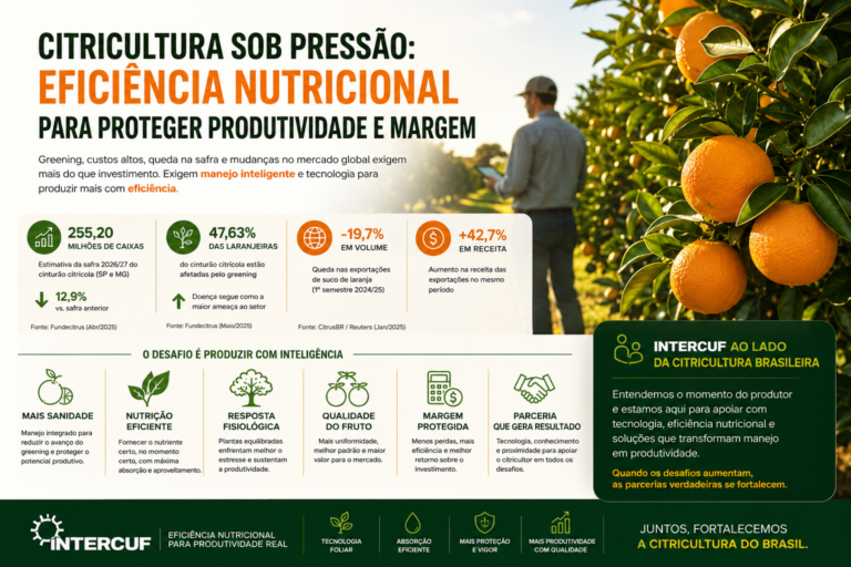 Citricultura sob pressão: por que eficiência nutricional virou estratégia para proteger produtividade e margem