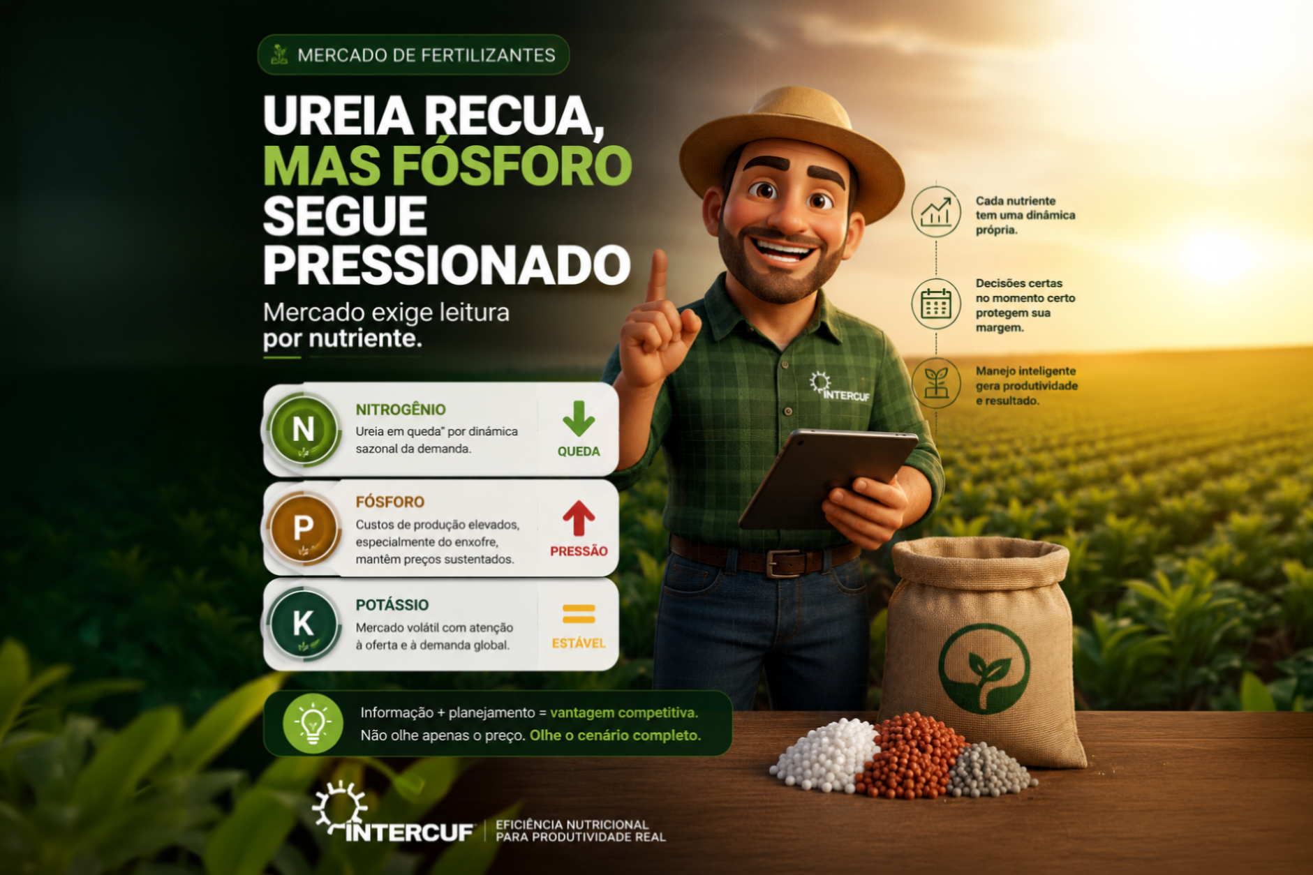 Ureia recua, mas fósforo segue pressionado: mercado de fertilizantes exige leitura por nutriente