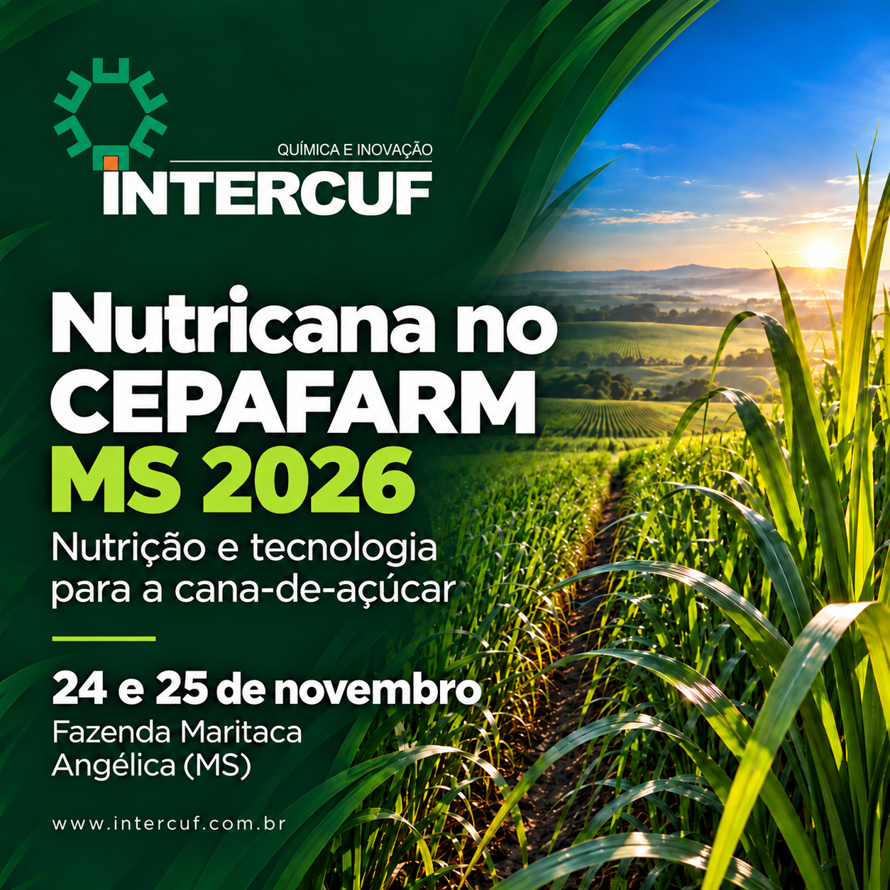 Intercuf lança Nutricana no CEPAFARM MS 2026: a tecnologia e nutrição para o manejo da cana-de-açúcar.